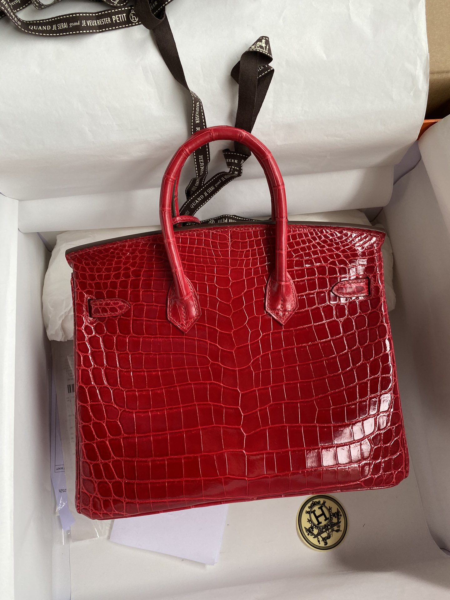 Hermes Birkin 25CM Handmade Bag In Red Crocodile Niloticus Shiny Skin